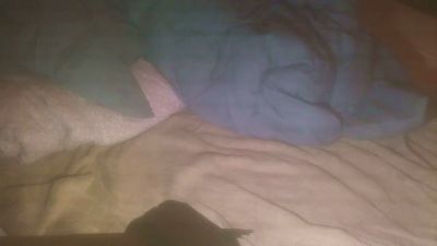 OneX2play live cam on Cam4