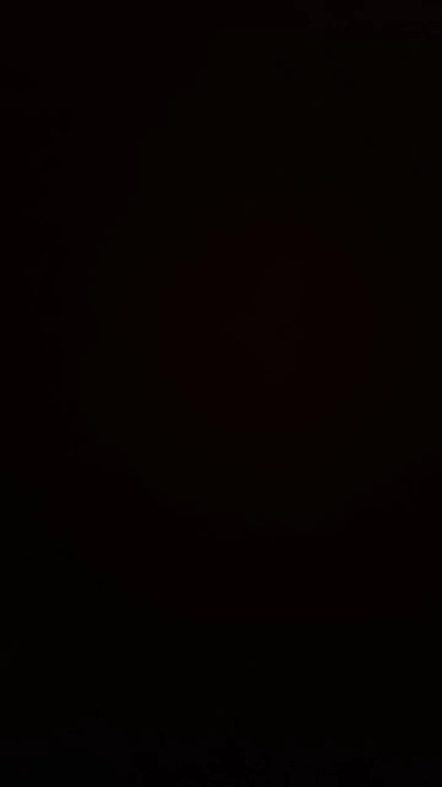 Preview of oraziobern