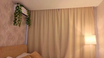 Preview of ozellgrothaus