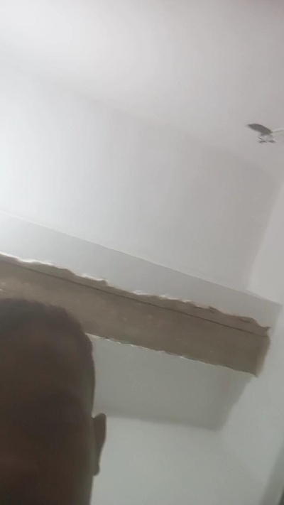 PIKABOA live cam on Cam4