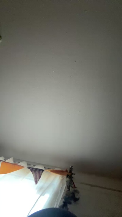 Papimonoooo live male webcam from Chile