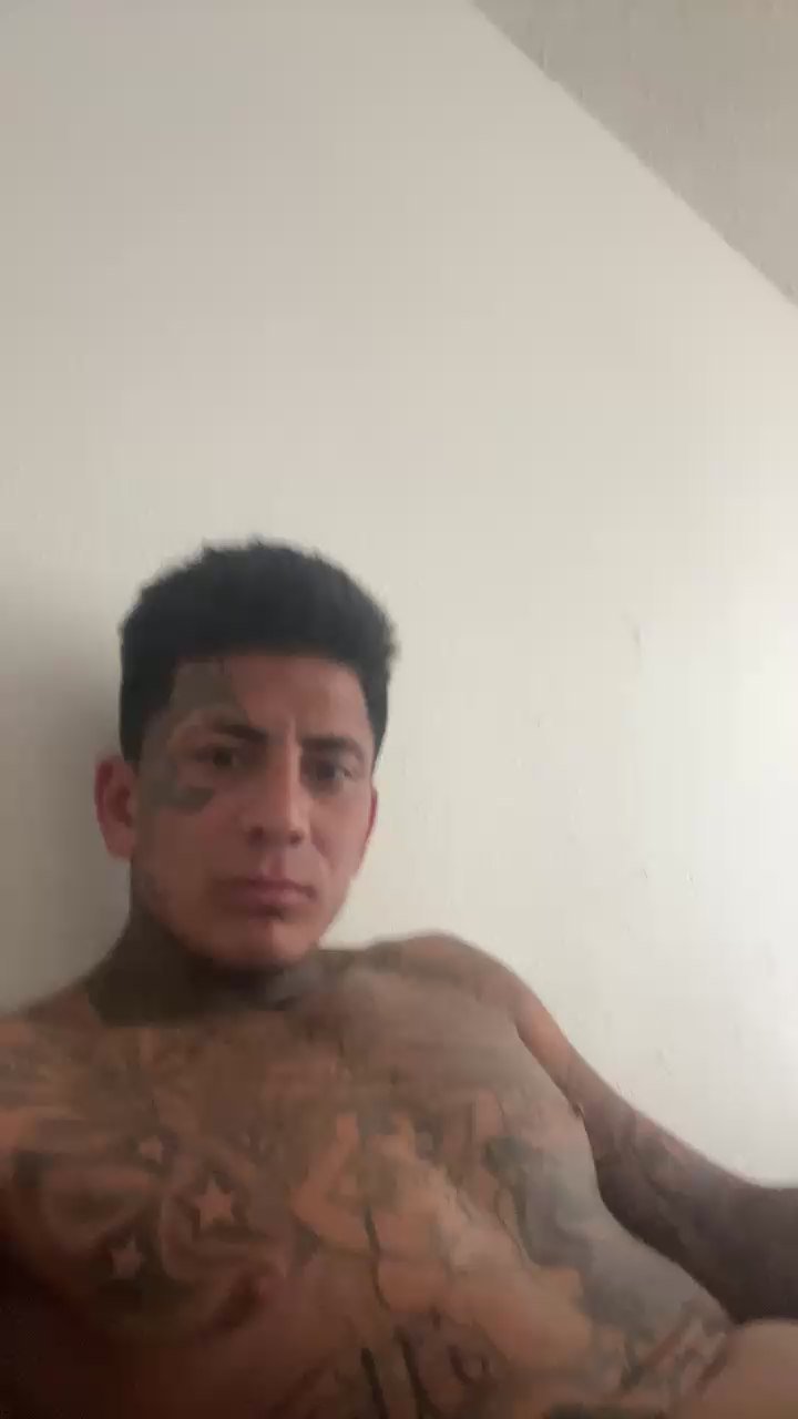 Profile and Statistics for Papinine on Cam4