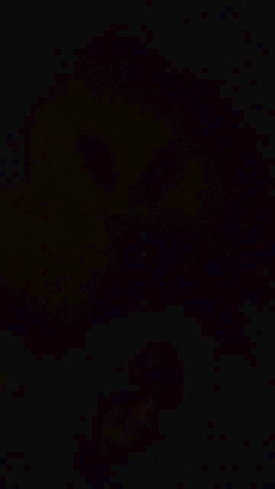 Parejarealjoven live cam on Cam4