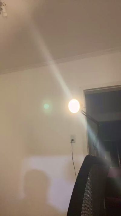 Preview of passivamimada