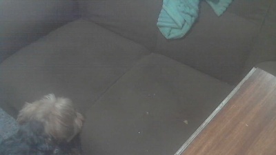 Peahcwb live cam on Cam4