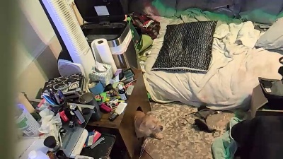 Preview of pegvictim