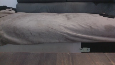 Pelam74 live cam on Cam4