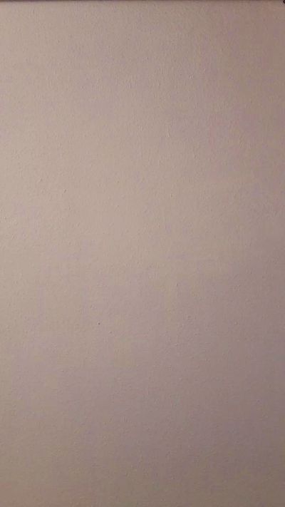 Pelarapa1995 live cam on Cam4