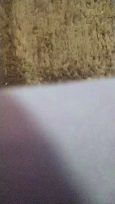 Peperere22 live cam on Cam4