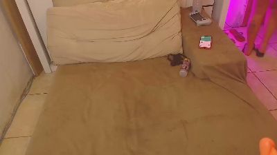 Pepsicolacouple live cam on Cam4