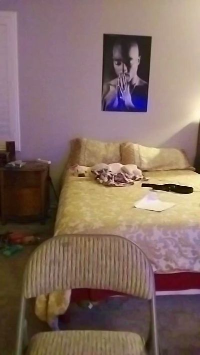 Perfectsizeguy live cam on Cam4
