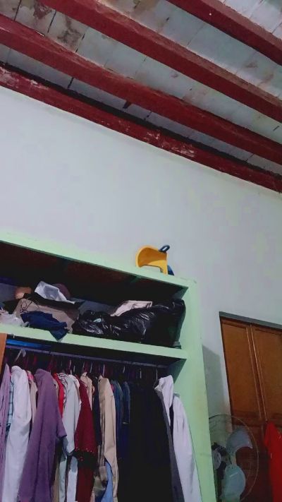 Pernas66 live cam on Cam4