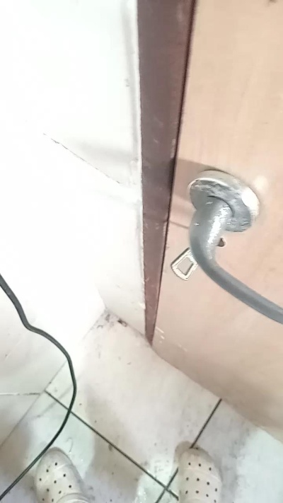 Perrodecall1