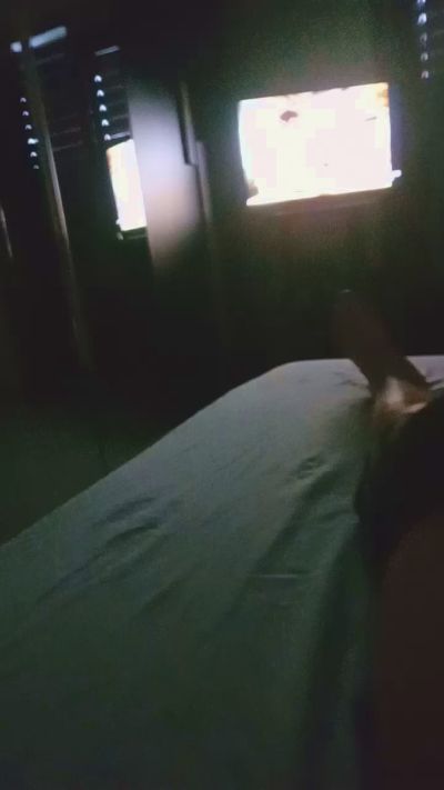Pescone live cam on UnifiedCams