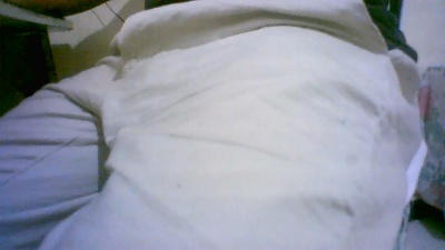 Phabio8 live cam on Cam4