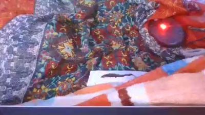 Phaniah live cam on Cam4