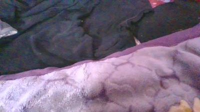 Phaniah live cam on Cam4