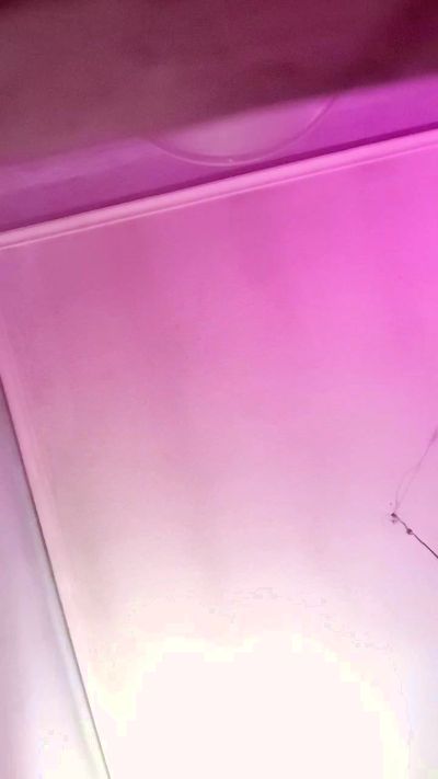 Pipaspalpajaro live cam on Cam4