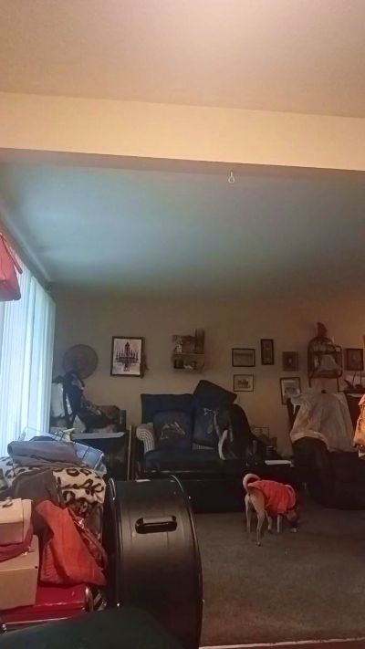 PistolLovegun live cam on Cam4