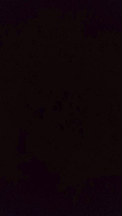 Pityu83 live cam on Cam4