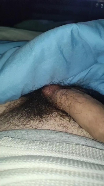 Pollanus live cam on Cam4