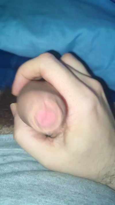 Pollanus live cam on Cam4