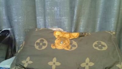 Polly_candy live cam on Cam4