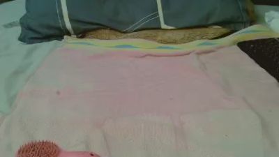 Polly_candy live cam on Cam4