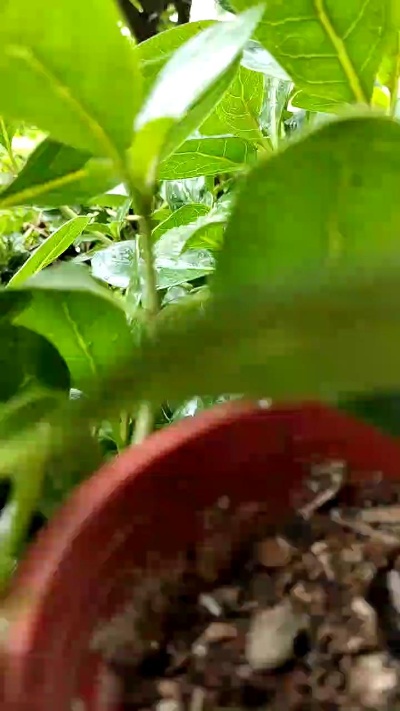Poseidonpro live cam on Cam4