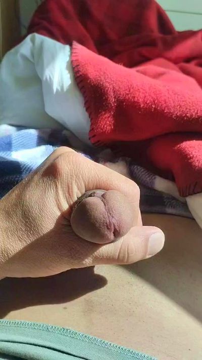 Preview of princeofp