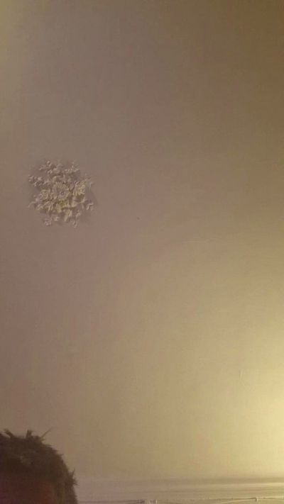 Pticulsex live cam on Cam4