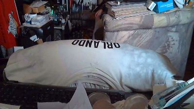Ptitzizi70 live cam on Cam4