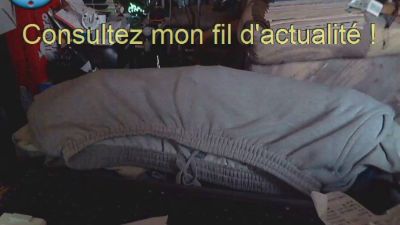 Ptitzizi70 live cam on Cam4