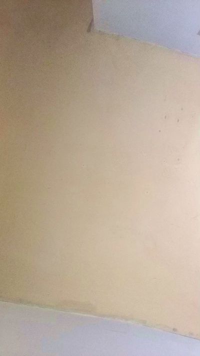 Pussynasseat69 live cam on Cam4