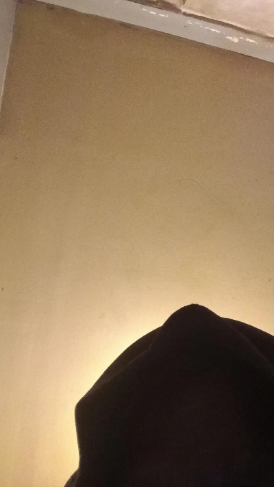 Pussynasseat69 live cam on Cam4