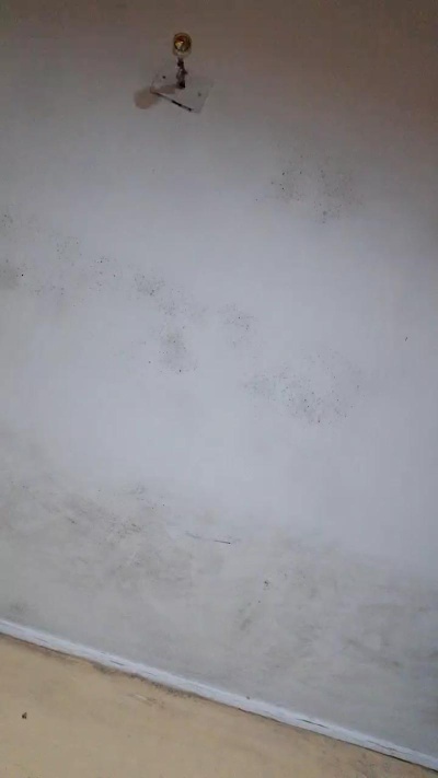 RODRIGOPASIO live cam on Cam4