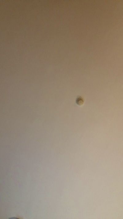 Rafamadrid webcam cam4 model stream image