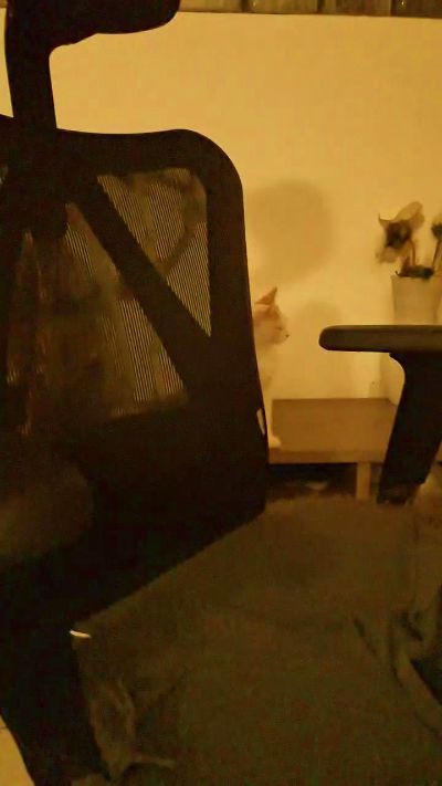 Ragazza90 live cam on Cam4