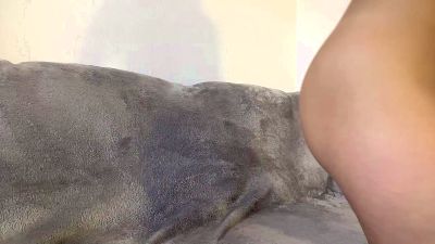 ReginaBerri live cam on Cam4