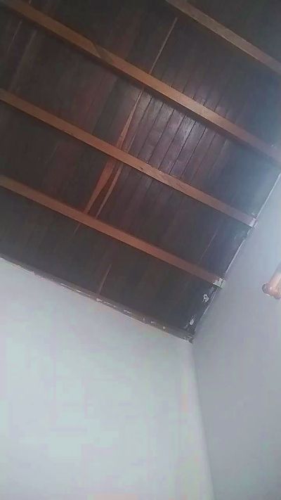 Reinalatina221 live cam on Cam4