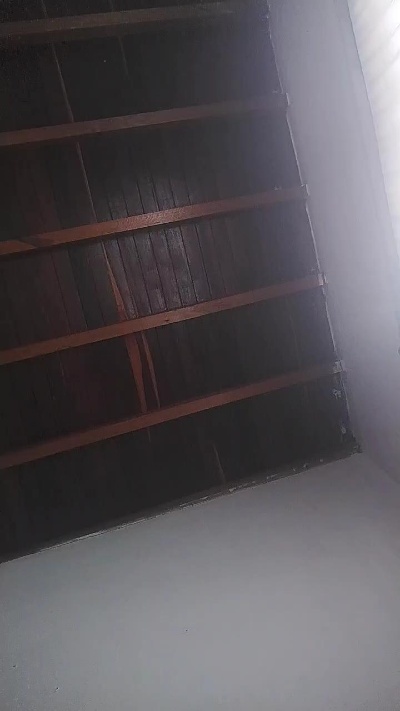 Reinalatina221 live cam on Cam4