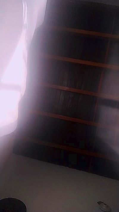 Reinalatina221 live cam on Cam4