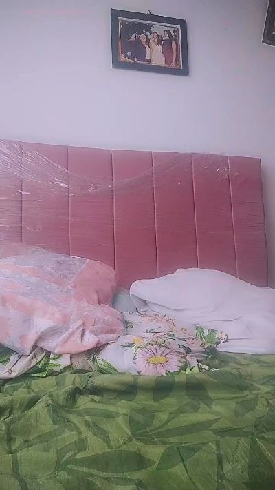 Reinalatina221 live cam on Cam4