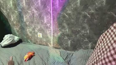 RiRaad live cam on Cam4