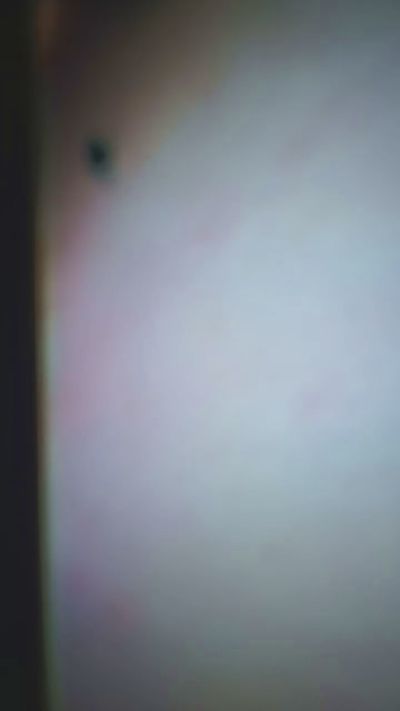 Rn5gjasp live cam on Cam4