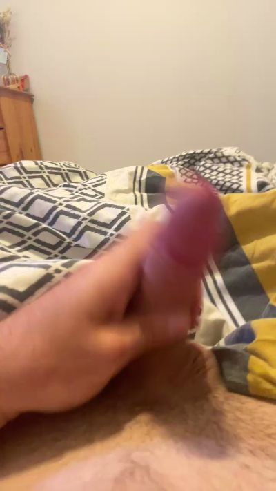 Rocco86400 live cam on Cam4