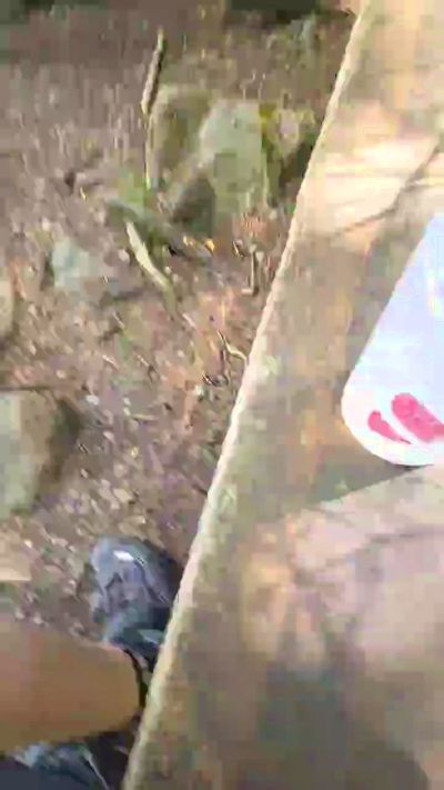 Roger202 live cam on Cam4