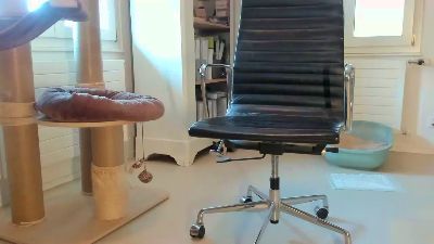 Roger202 live cam on Cam4