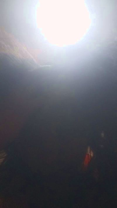 Rogina live cam on Cam4