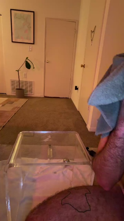 RooneyJ live cam on Cam4